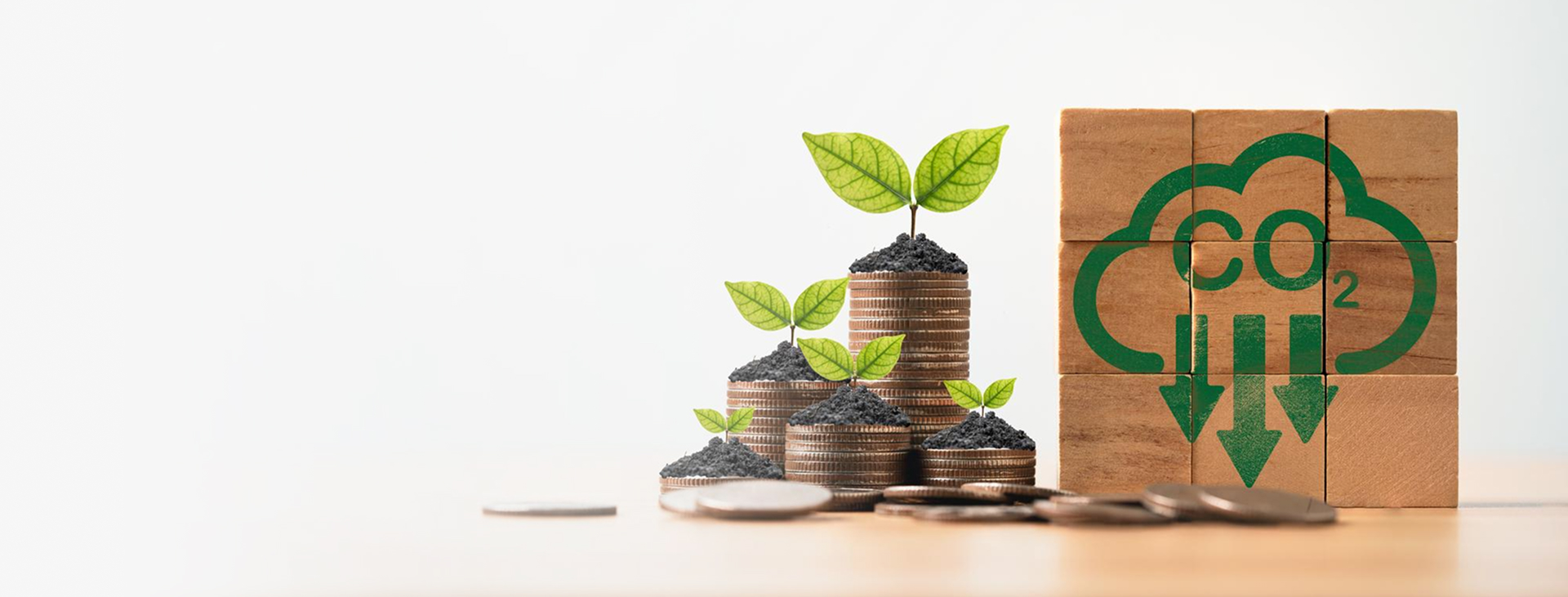 carbon-account-banner