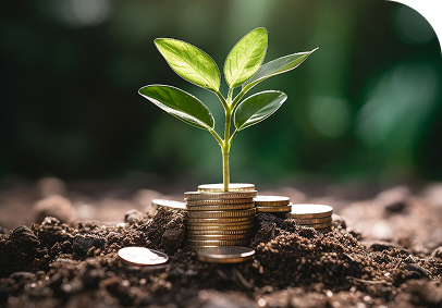 Green-Finance-Requires-Verified-Disclosures
